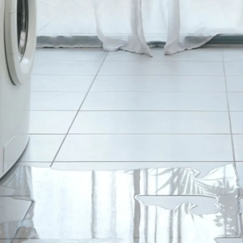 Appliance Leak Cleanup in Punta Gorda, FL